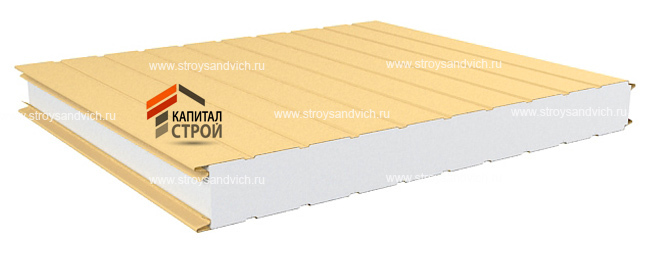 Панель стеновая ТЕПЛОПРЕМИУМ СППС С 1200 9R (полистирол / 9RIB)